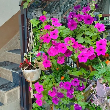 Penzion Samy Sarajevo